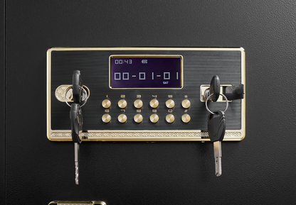 Security Electronic Steel Home Safe, Anti-Theft Digital Security Lock Box With Smart Alert System, Removable Shelf, Mute Function, Personal Document Safes For Money Jewelry - THE MILE MAKER DRIVER SHOP